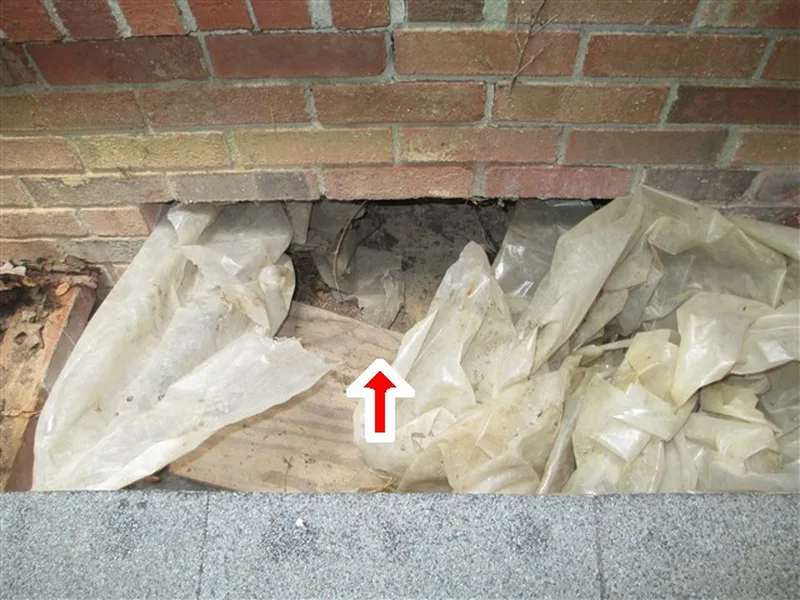 Crawlspace vapor barrier marked with a red arrow in an AVL Inspections report